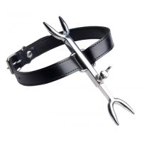 Heretic's fork - bdsm halsband