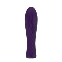 Nalone Ian Bullet Vibrator - Paars