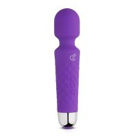 Toys Mini Wand Vibrator - Paars