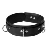 Strict leather deluxe collar